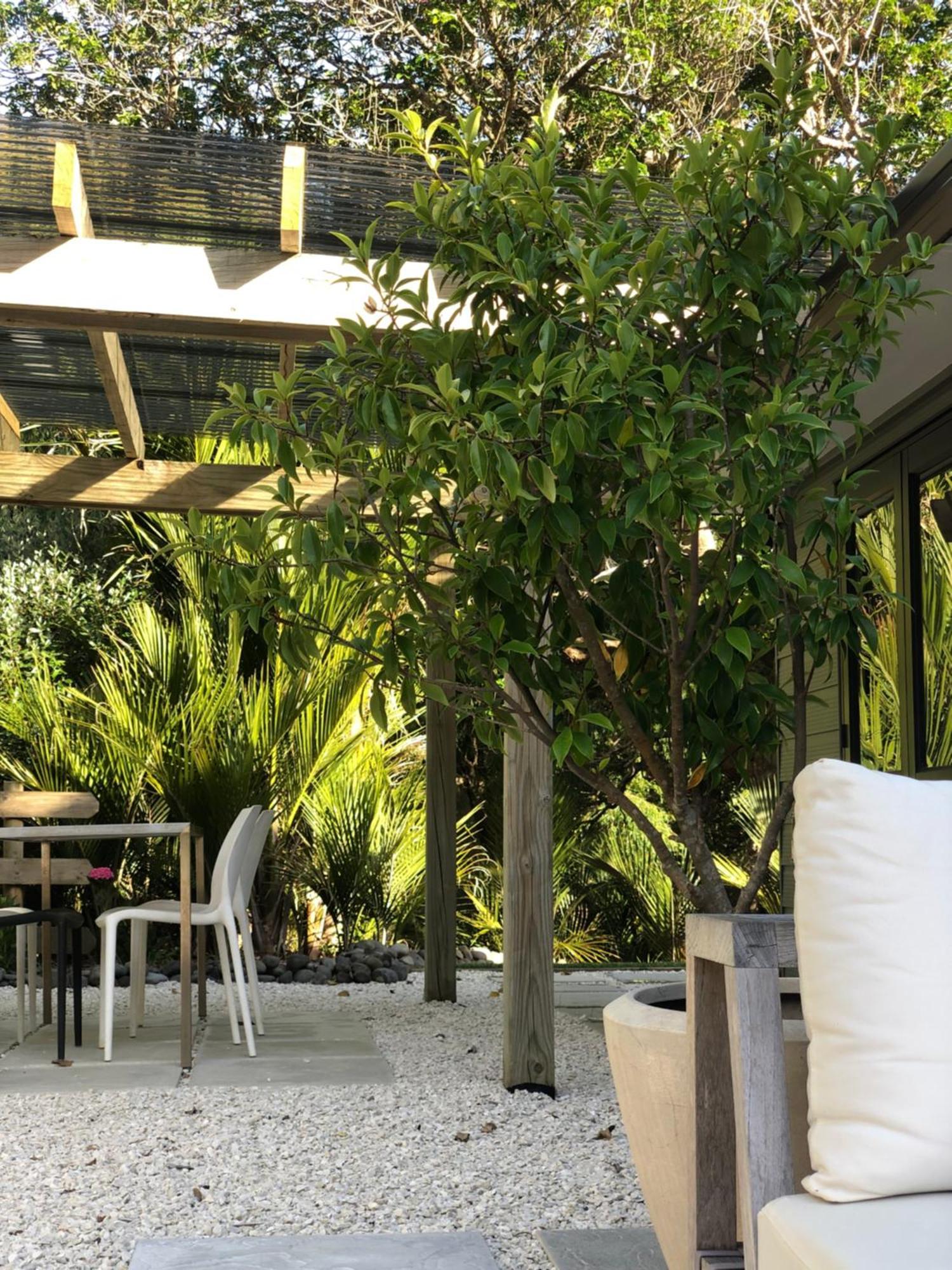 Villetta - Matakana Boutique Luxury Accommodation Exterior photo